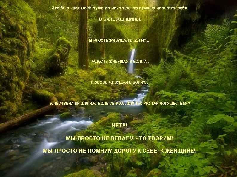 Это был крик моей души и тысяч тех, кто пришел испытать себя В СИЛЕ