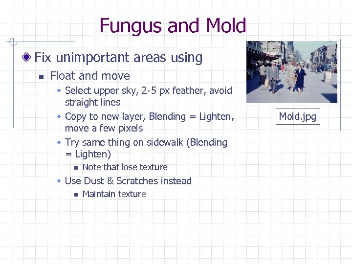 Fungus and Mold Fix unimportant areas using n Float and move w Select upper