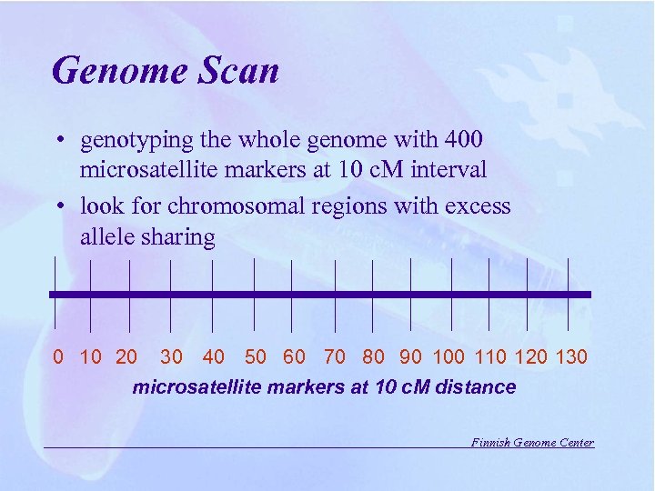 Genome Scan • genotyping the whole genome with 400 microsatellite markers at 10 c.