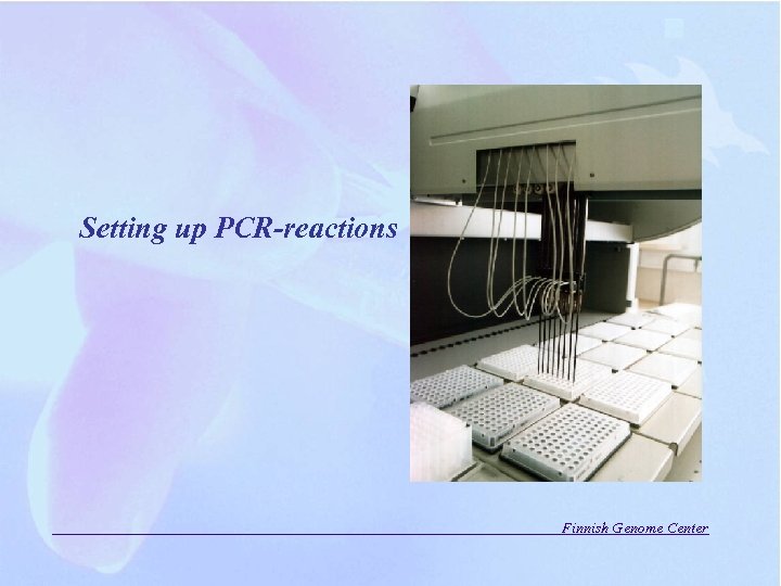 Setting up PCR-reactions Finnish Genome Center 