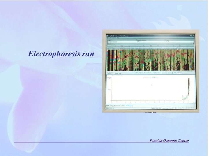 Electrophoresis run Finnish Genome Center 