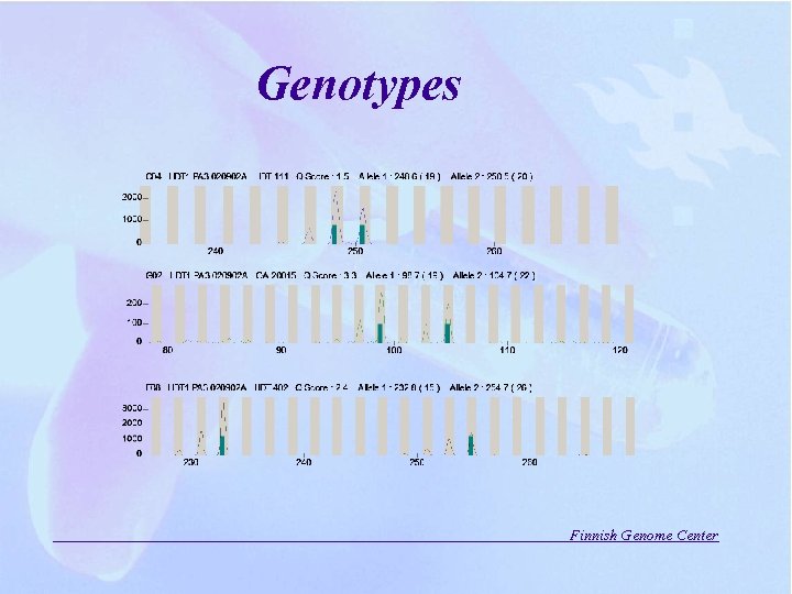 Genotypes Finnish Genome Center 