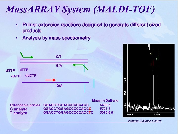 Mass. ARRAY System (MALDI-TOF) • Primer extension reactions designed to generate different sized products
