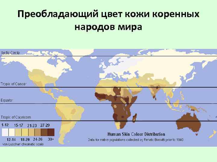 Преобладающий цвет кожи коренных народов мира 