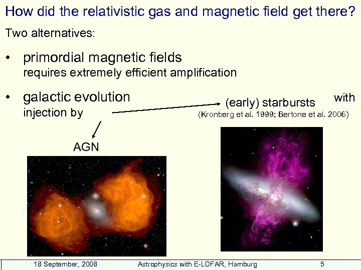 How did the relativistic gas and magnetic field get there? Two alternatives: • primordial