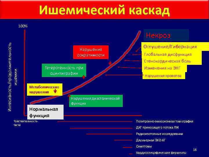 Ишемический каскад 100% Интесивность/продолжительность ишемии Некроз Нарушения сократимости Гетерогенность при сцинтиграфии Оглушение/Гибернация Глобальная дисфункция