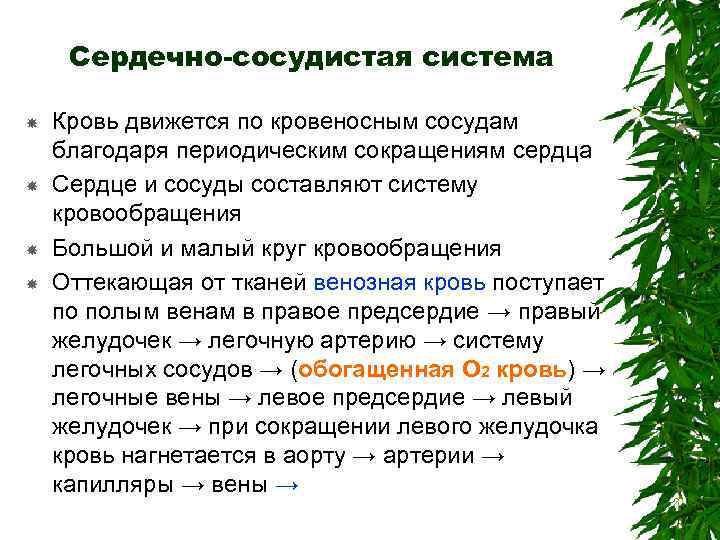 Сердечно-сосудистая система Кровь движется по кровеносным сосудам благодаря периодическим сокращениям сердца Сердце и сосуды