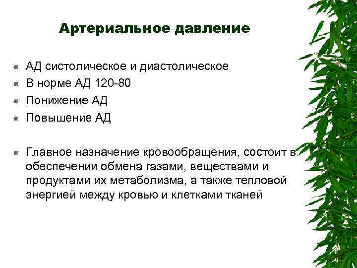 Артериальное давление АД систолическое и диастолическое В норме АД 120 -80 Понижение АД Повышение