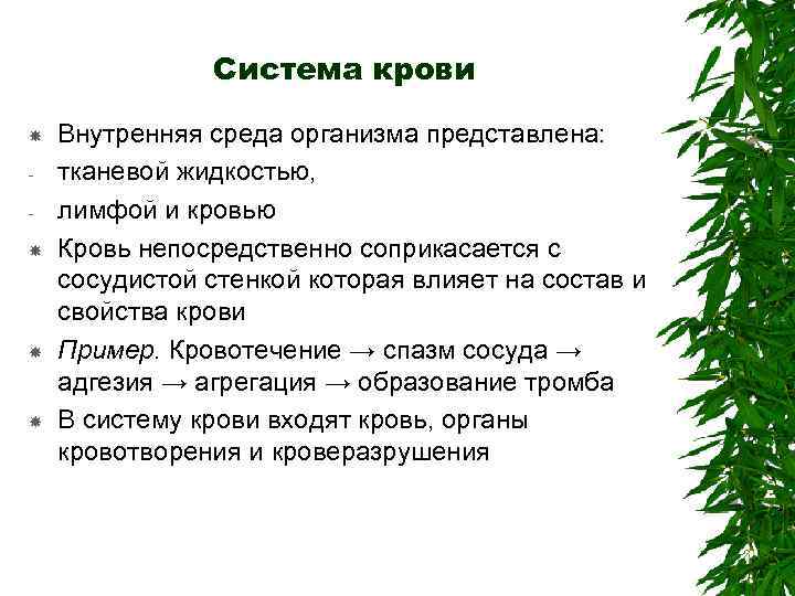 Система крови Внутренняя среда организма представлена: тканевой жидкостью, лимфой и кровью Кровь непосредственно соприкасается