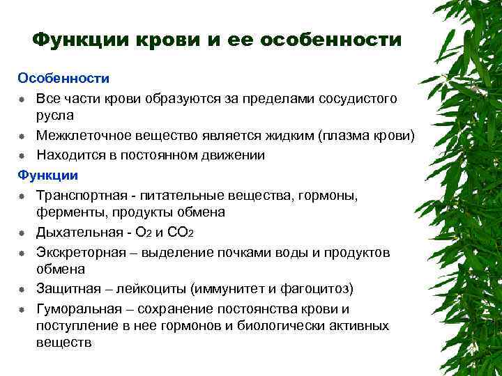 Функции крови и ее особенности Особенности Все части крови образуются за пределами сосудистого русла