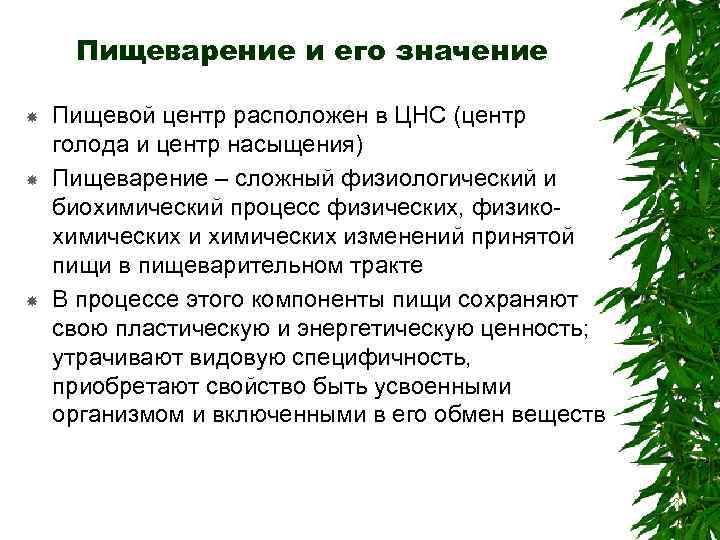 Пищеварение и его значение Пищевой центр расположен в ЦНС (центр голода и центр насыщения)