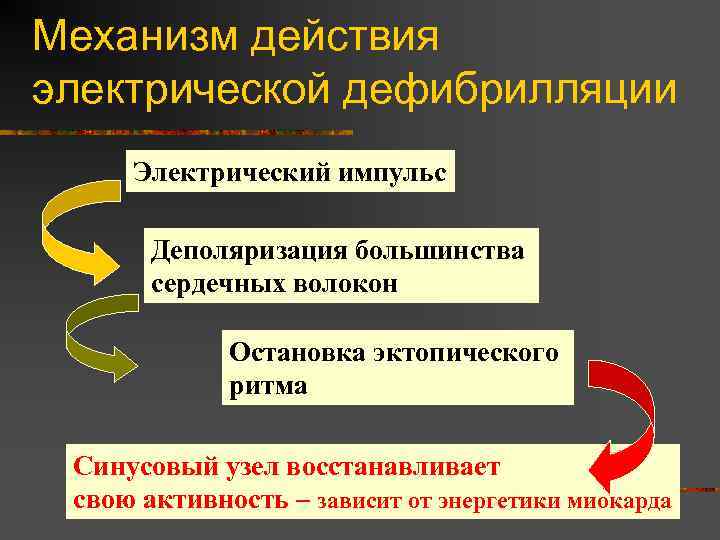 Механизм действия электрической дефибрилляции Электрический импульс Деполяризация большинства сердечных волокон Остановка эктопического ритма Синусовый