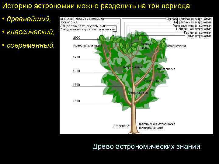 Историю астрономии можно разделить на три периода: • древнейший, • классический, • современный. Древо