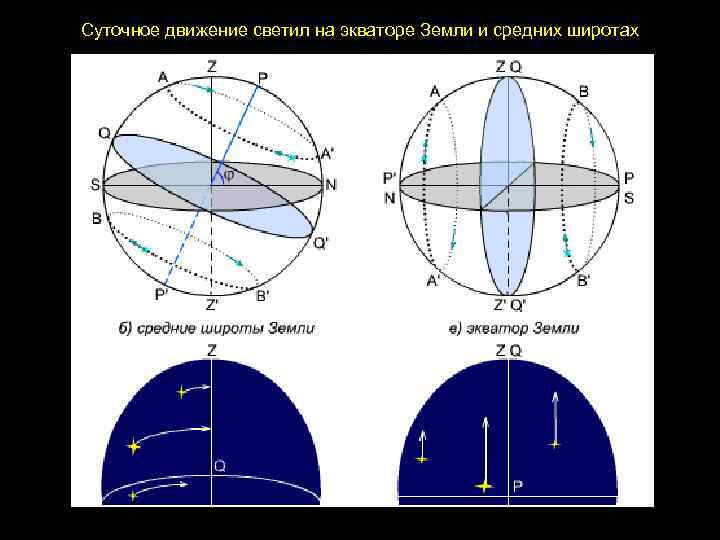 Суточное движение светил на экваторе Земли и средних широтах 