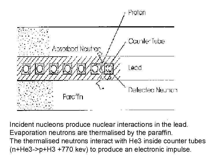 Incident nucleons produce nuclear interactions in the lead. Evaporation neutrons are thermalised by the
