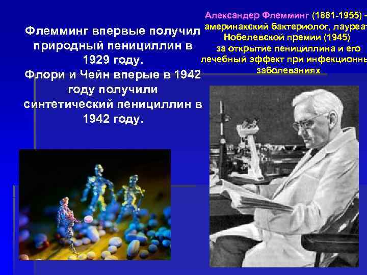 Александер Флемминг (1881 -1955) – Флемминг впервые получил америнакский бактериолог, лауреат Нобелевской премии (1945)