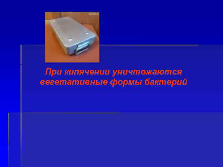 При кипячении уничтожаются вегетативные формы бактерий 