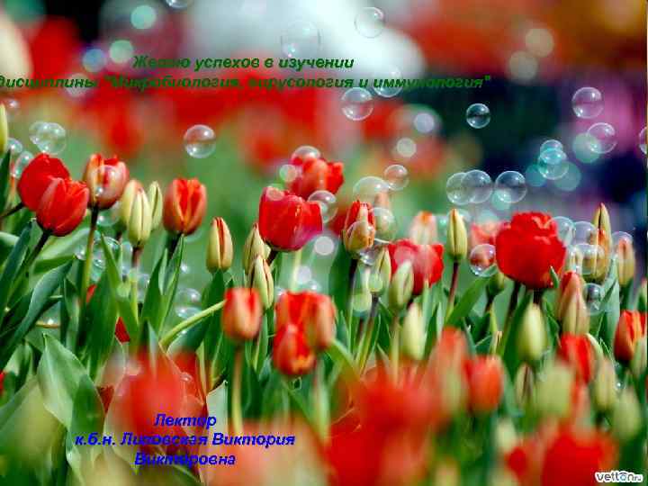 Желаю успехов в изучении дисциплины "Микробиология, вирусология и иммунология" Лектор к. б. н. Липовская