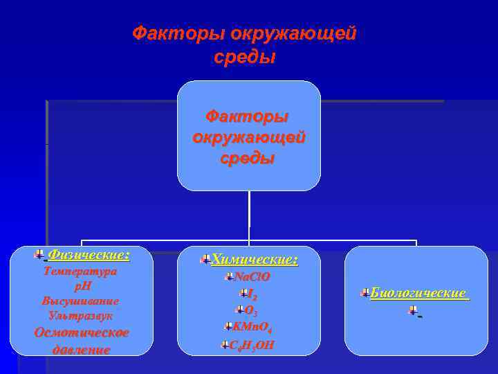 Факторы окружающей среды Физические: Температура р. Н Высушивание Ультразвук Осмотическое давление Химические: Na. Cl.