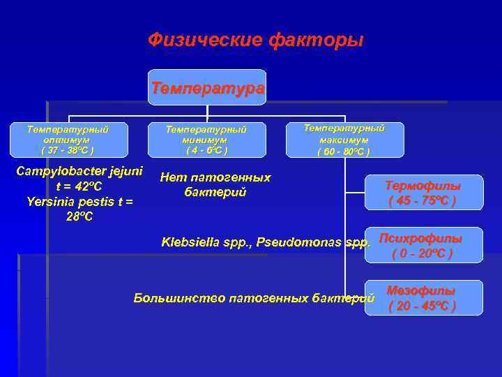 Физические факторы Температура Температурный оптимум ( 37 - 38ºC ) Температурный минимум ( 4