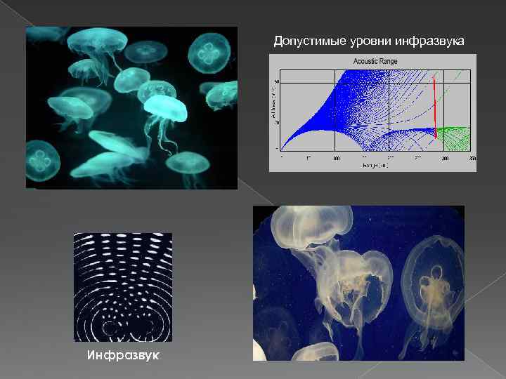 Допустимые уровни инфразвука Инфразвук 