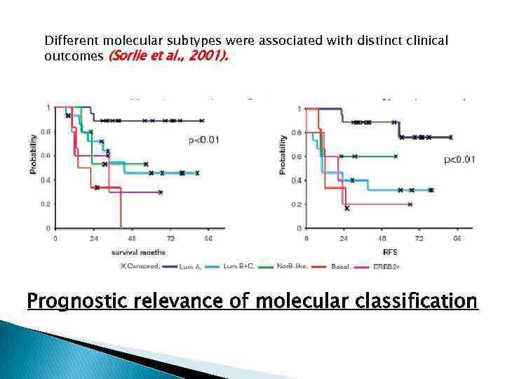 Different molecular subtypes were associated with distinct clinical outcomes (Sorlie et al. , 2001).