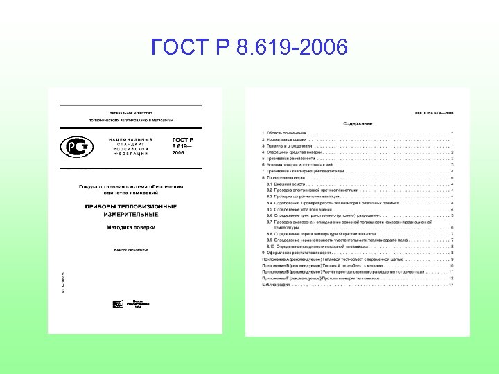 ГОСТ Р 8. 619 -2006 