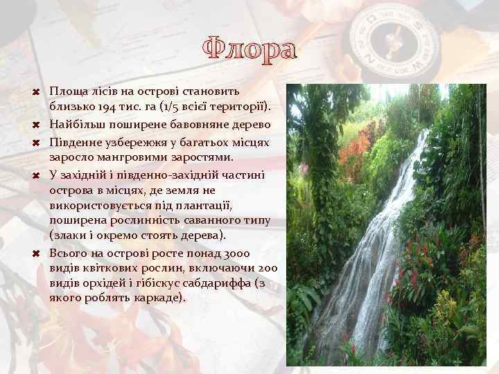 Флора Площа лісів на острові становить близько 194 тис. га (1/5 всієї території). Найбільш