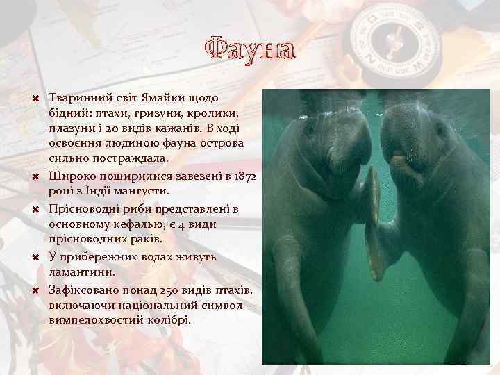 Фауна Тваринний світ Ямайки щодо бідний: птахи, гризуни, кролики, плазуни і 20 видів кажанів.