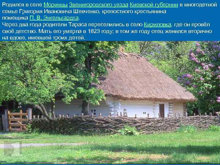 Родился в селе Моринцы Звенигородского уезда Киевской губернии в многодетной семье Григория Ивановича Шевченко,