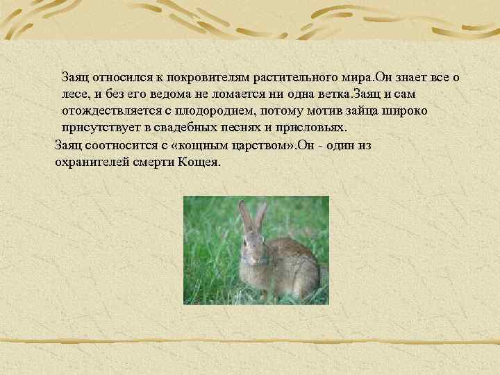 Заяц относился к покровителям растительного мира. Он знает все о лесе, и без его