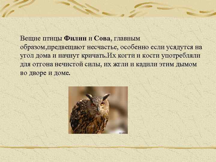 Вещие птицы Филин и Сова, главным образом, предвещают несчастье, особенно если усядутся на угол