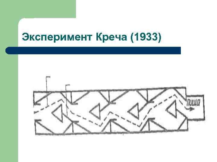 Эксперимент Креча (1933) 