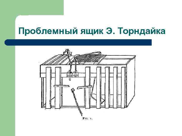 Проблемный ящик Э. Торндайка 