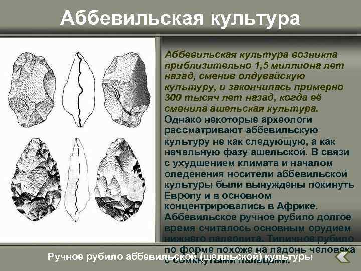 Аббевильская культура возникла приблизительно 1, 5 миллиона лет назад, сменив олдувайскую культуру, и закончилась