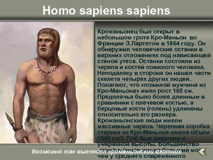 Homo sapiens Кроманьонец был открыт в небольшом гроте Кро-Маньон во Франции Э. Лартетом в