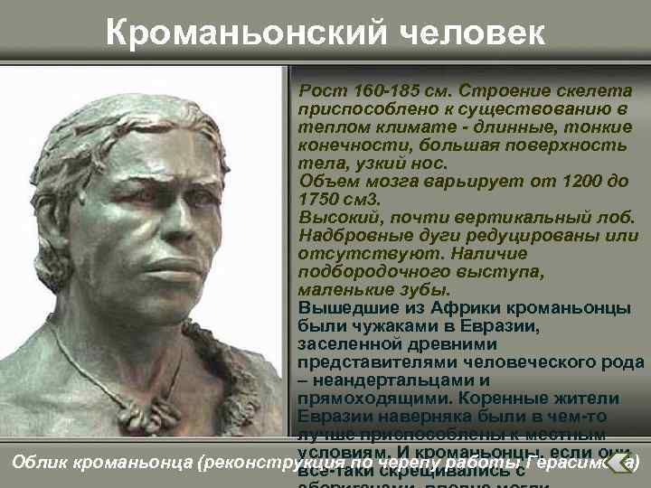 Кроманьонский человек Рост 160 -185 см. Строение скелета приспособлено к существованию в теплом климате