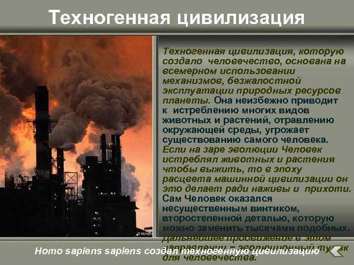 Техногенная цивилизация, которую создало человечество, основана на всемерном использовании механизмов, безжалостной эксплуатации природных ресурсов