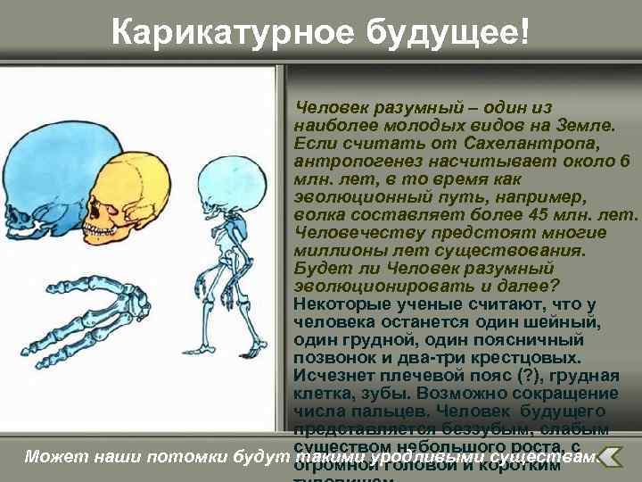 Карикатурное будущее! Человек разумный – один из наиболее молодых видов на Земле. Если считать