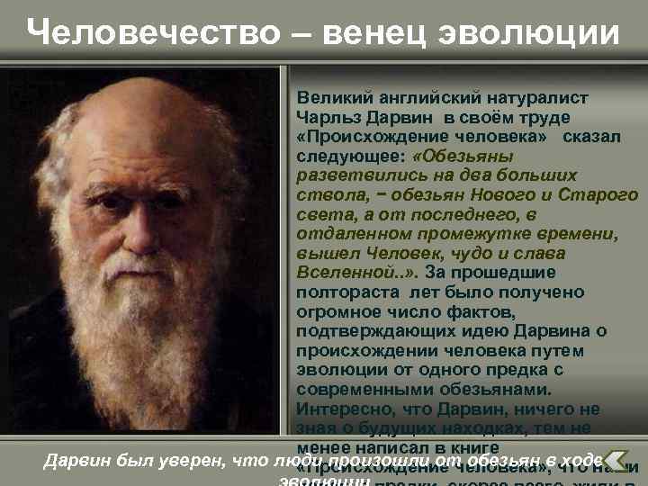 Человечество – венец эволюции Великий английский натуралист Чарльз Дарвин в своём труде «Происхождение человека»