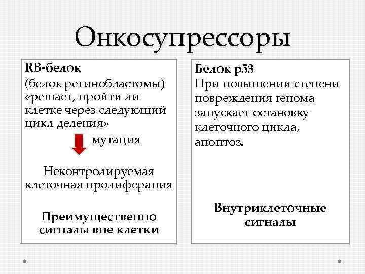 Онкосупрессоры RB-белок (белок ретинобластомы) «решает, пройти ли клетке через следующий цикл деления» мутация Белок