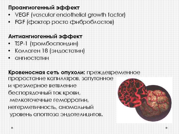 Проангиогенный эффект • VEGF (vascular endothelial growth factor) • FGF (фактор роста фибробластов) Антиангиогенный