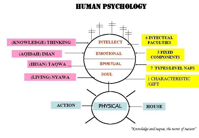 human Psychology (KNOWLEDGE) THINKING INTELLECT EMOTIONAL (AQIDAH) IMAN (IHSAN) TAQWA (LIVING) NYAWA ACTION SPIRITUAL