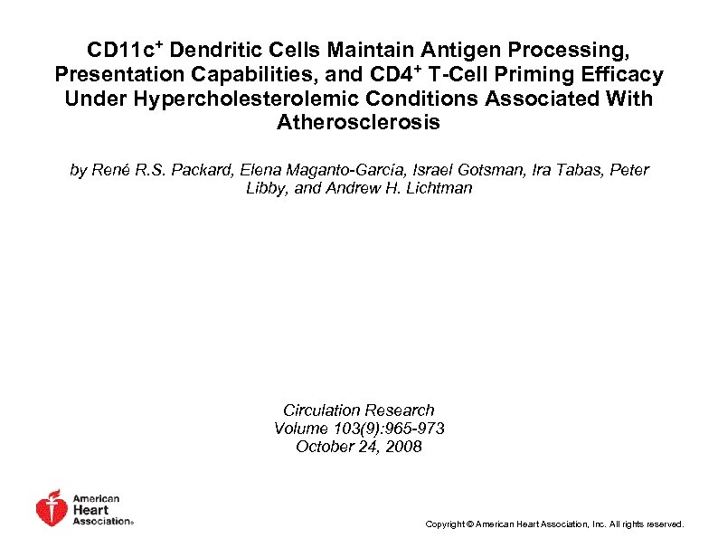 CD 11 c+ Dendritic Cells Maintain Antigen Processing, Presentation Capabilities, and CD 4+ T-Cell