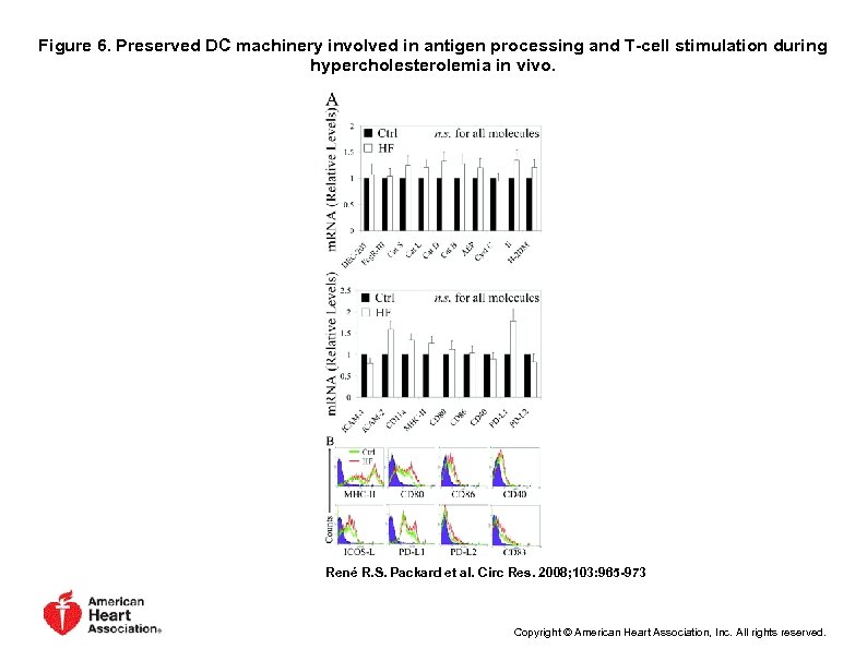 Figure 6. Preserved DC machinery involved in antigen processing and T-cell stimulation during hypercholesterolemia