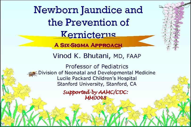 Newborn Jaundice and the Prevention of Kernicterus A Six-Sigma Approach Vinod K. Bhutani, MD,