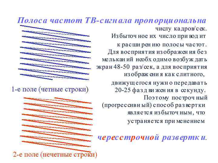 1 -е поле (четные строки) 2 -е поле (нечетные строки) 