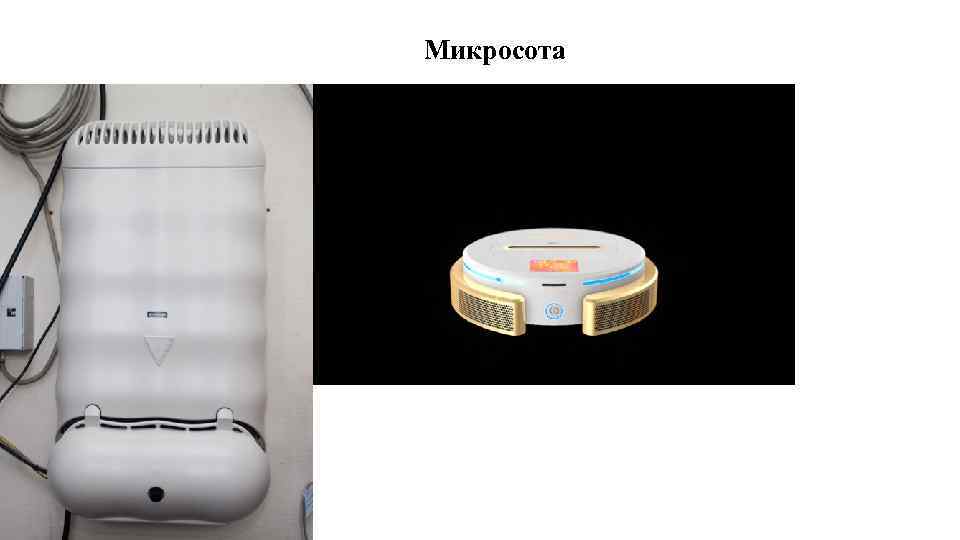 Микросота 