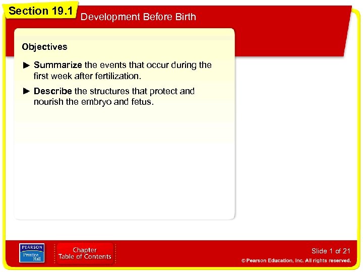 Section 19. 1 Development Before Birth Objectives Summarize the events that occur during the