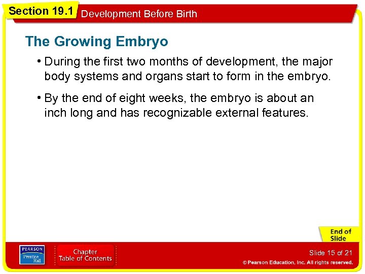 Section 19. 1 Development Before Birth The Growing Embryo • During the first two